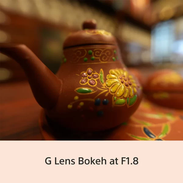 Sony E-mount FE 16 mm F1.8 G Full-Frame Lens (SEL16F18G) I Ultra-Wide | Compact | G Lens Bokeh - Black