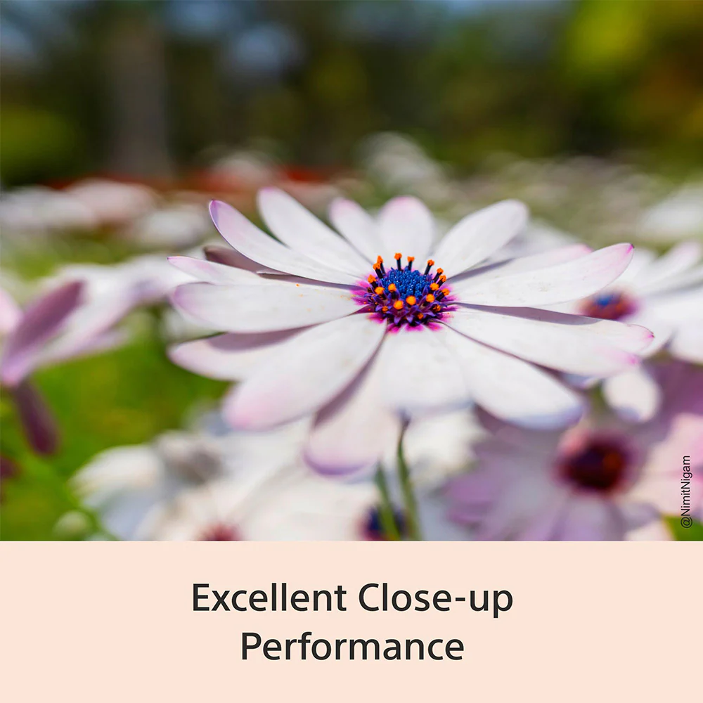 Sony E-mount FE 16 mm F1.8 G Full-Frame Lens (SEL16F18G) I Ultra-Wide | Compact | G Lens Bokeh - Black - Image 6