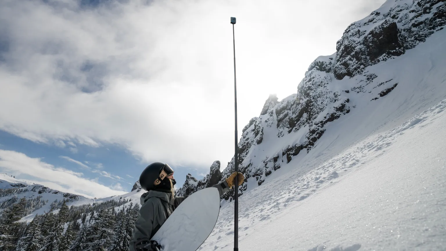 9ft (2.7m) Carbon Fiber Extension Pole