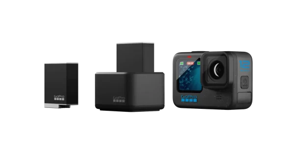 Dual Battery Charger + Enduro Batteries