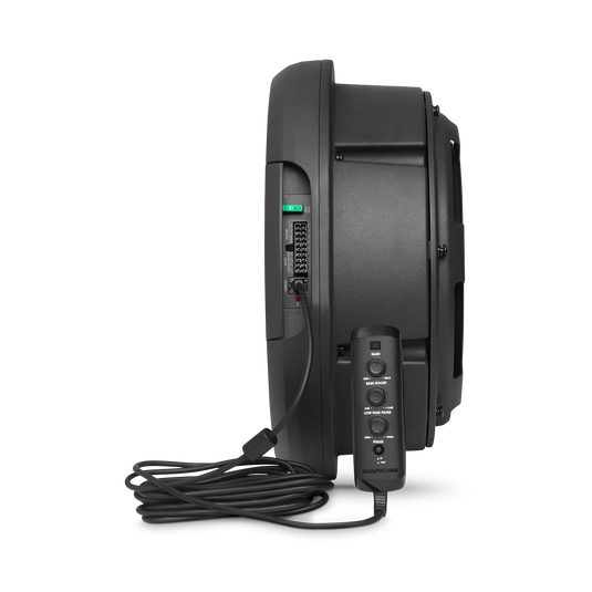 JBL BassPro Hub