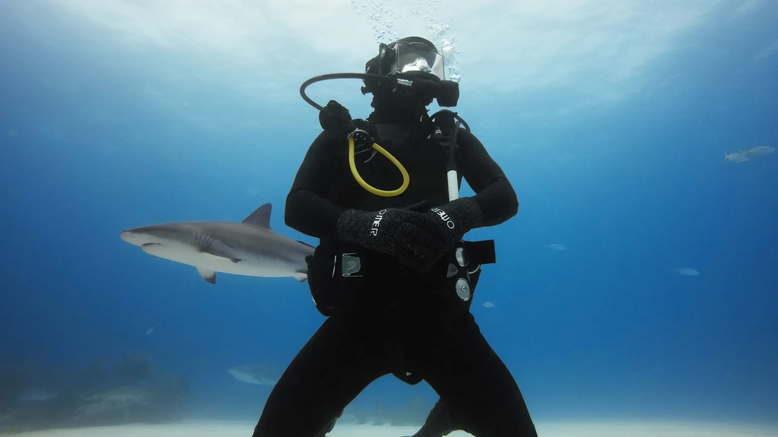 HERO11 Black Mini Dive Housing - Image 6